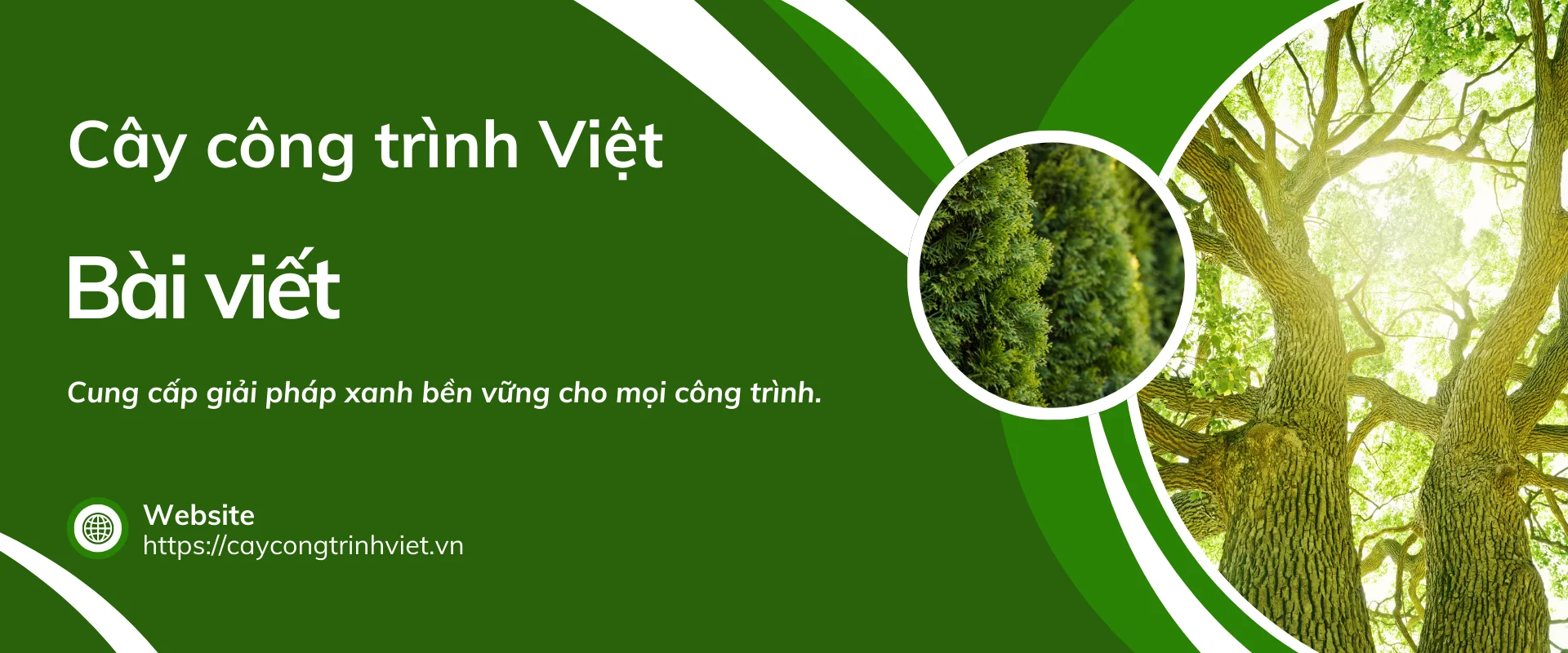 Cây công trình Việt - Kiến tạo môi trường bền vững