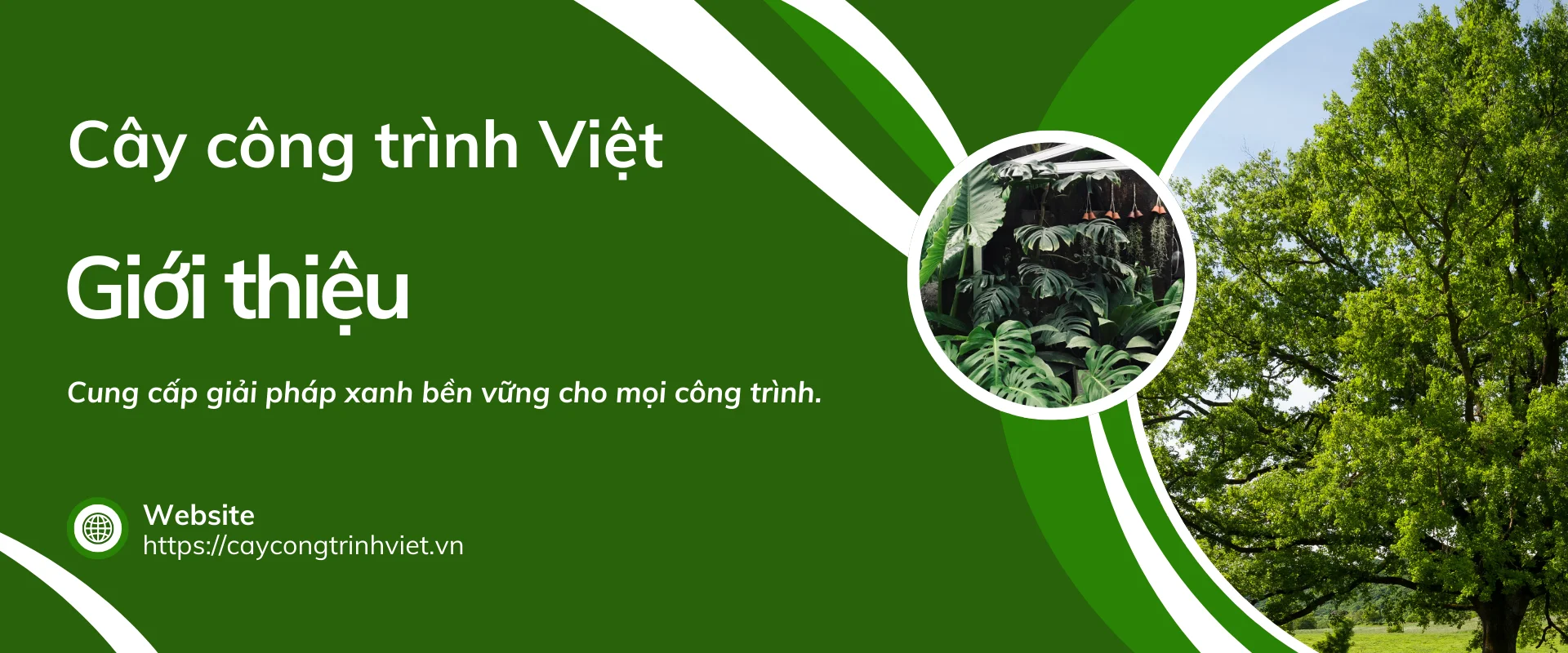 Cây công trình Việt - Kiến tạo môi trường bền vững