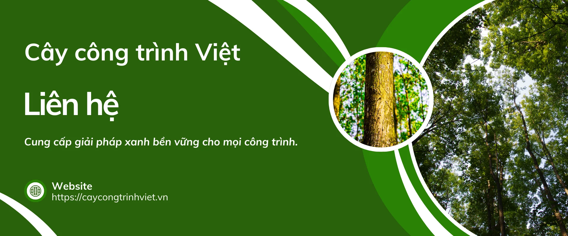 Cây công trình Việt - Kiến tạo môi trường bền vững
