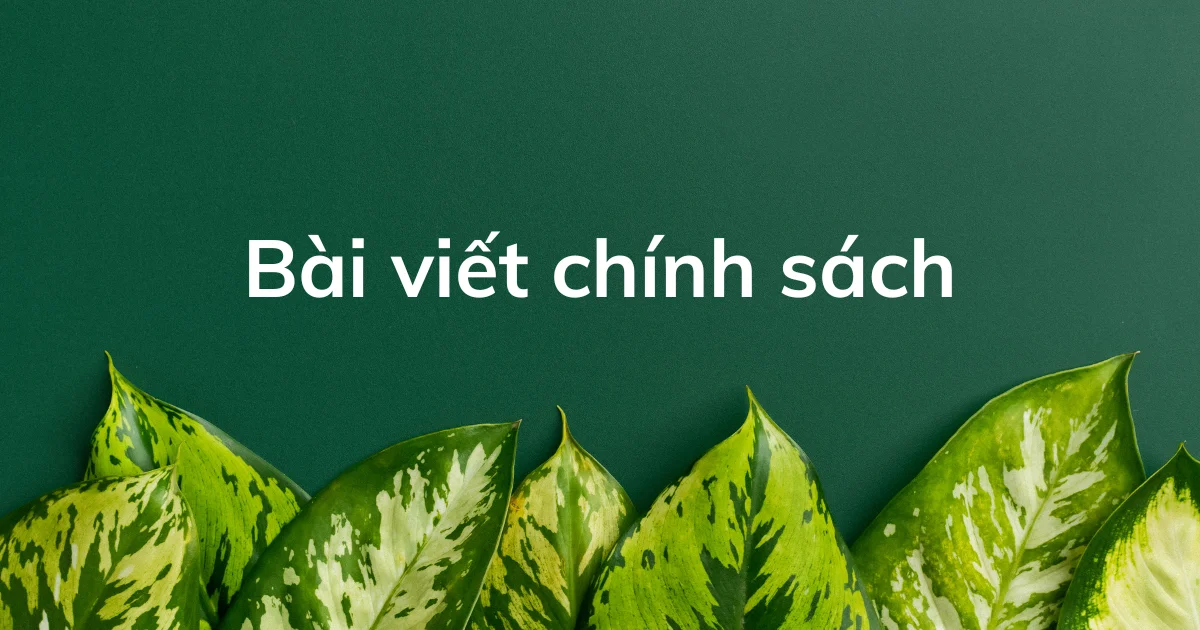 Cây công trình Việt - Kiến tạo môi trường bền vững