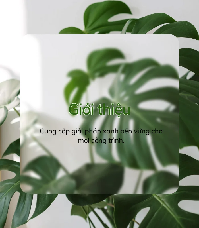 Cây công trình Việt - Kiến tạo môi trường bền vững
