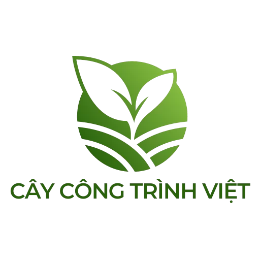 Cây công trình Việt