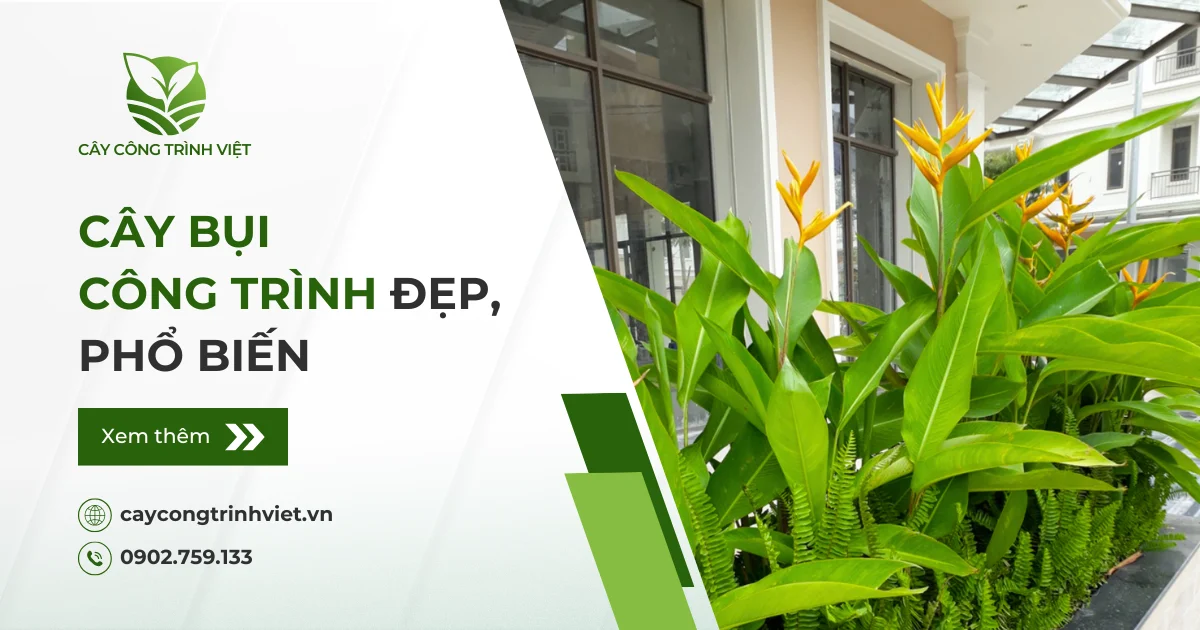 Tổng hợp 10 cây bụi công trình đẹp, phổ biến